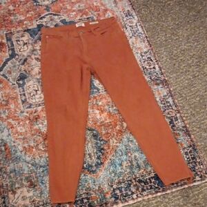 ❤️2 For $14❤️ Rust Orange Skinny Pants